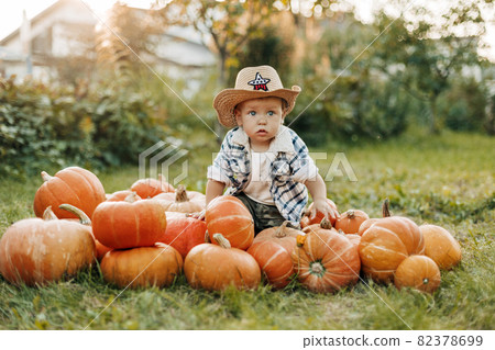Portrait of a charming baby sitting on pumpkins in the garden or vegetable garden during the harvest on the eve of Halloween. A kid in a Halloween costume 82378699