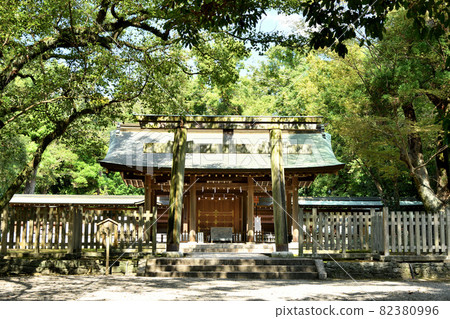 國合神社（國合神社）[和歌山縣和歌山市秋月] 82380996