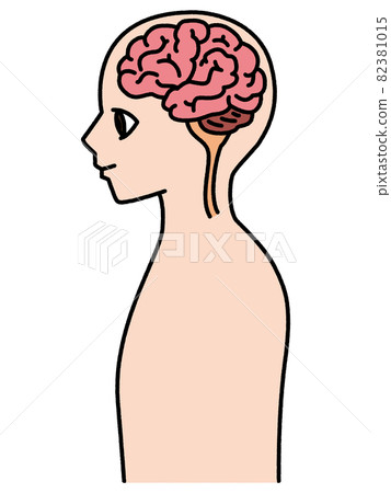 人體橫截面 82381015