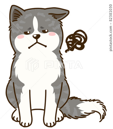 秋田犬（虎毛）看向別處 82381030