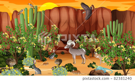 Desert forest landscape at sunset time scene with wild animals Desert forest landscape at sunset time scene with wild animals 82381240