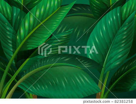 Tropical green leaves background - Stock Illustration [82381258] - PIXTA
