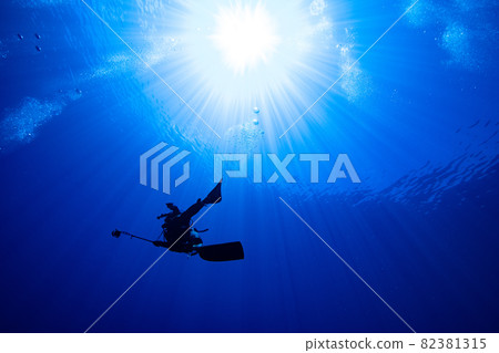 跳水 戴水肺潛水 海底的 82381315