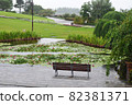Water lilies 82381371