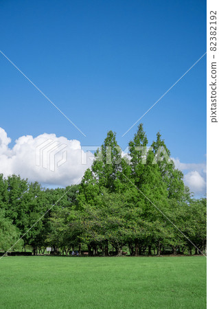 藍天白雲綠草公園 藍天白雲綠草公園 82382192