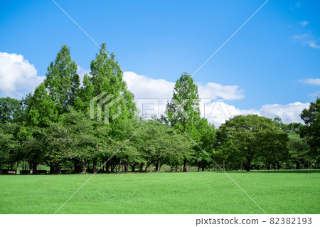 藍天白雲綠草公園 藍天白雲綠草公園 82382193