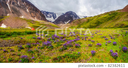 Panoramic view of the camping on the flowers green high-altitude plateau. An orange tent on a rainy day. Peace and relaxation in any weather in nature. Panoramic view of the camping on the flowers green high-altitude plateau. An orange tent on a rainy day. Peace and relaxation in any weather in nature. 82382611