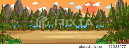 Panorama landscape scene at sunset time with many pine trees 82383077