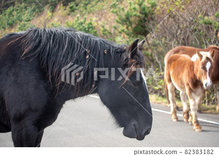 Kandachime in Shiriyazaki Kandachime in Shiriyazaki 82383182