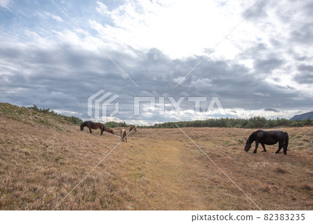 尻屋崎的神田手 82383235