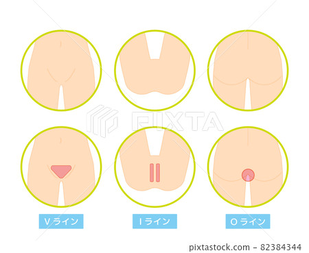 身體部位 VIO 脫髮位置矢量圖 女性 82384344