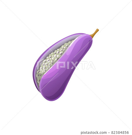 Ripe Akebia trifoliata isolated exotic tropical fruit organic food snack. Vector Akebia quinata, five-leaf chocolate vine or five-leaf akebia ripe purple fruit native to Japan, China and Korea, 82384856