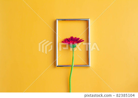Red gerbera and photo frame 82385104