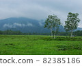 It is a view of Oze. 82385186