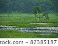 It is a view of Oze. 82385187