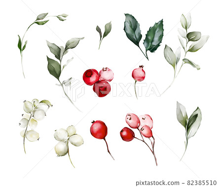 Christmas set with branches and berries 82385510