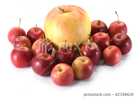 Mini apple Alps maiden 82386626