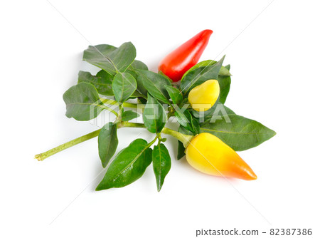 Small hot red chili isolated on white background Small hot red chili isolated on white background 82387386