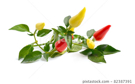 Small hot red chili isolated on white background Small hot red chili isolated on white background 82387391