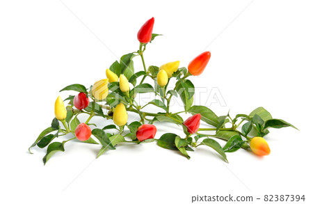 Small hot red chili isolated on white background Small hot red chili isolated on white background 82387394