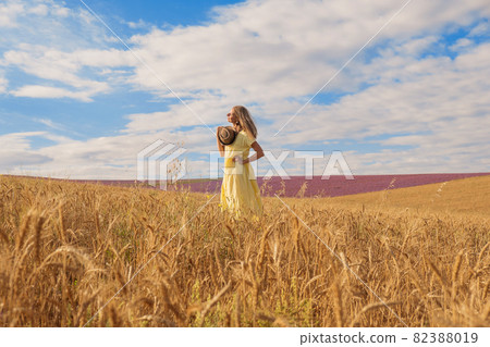 Harvest: ripe wheat grows in the field. The golden grain and the girl are walking through the field. the hot sun strokes the skin Harvest: ripe wheat grows in the field. The golden grain and the girl are walking through the field. the hot sun strokes the skin 82388019