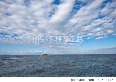金槍魚鎮大間 金槍魚鎮大間 82388447