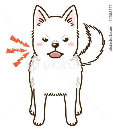Menacing Kishu dog 82388823
