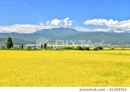 俯瞰飯山站和斑尾山（長野縣木島平村） [2021.9] 82389561