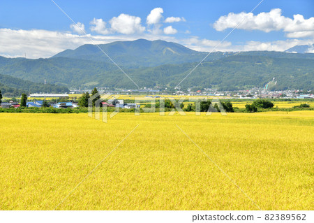 俯瞰飯山站和斑尾山（長野縣木島平村） [2021.9] 82389562