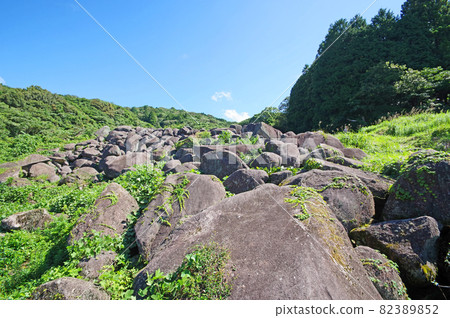 Oiwago, a nationally designated natural monument of Mankura, Mine City, Yamaguchi Prefecture 82389852