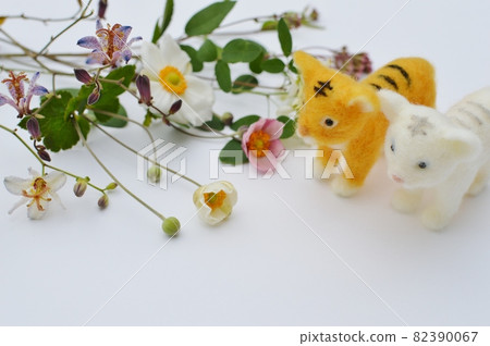 氈虎和秋花 氈虎和秋花 82390067
