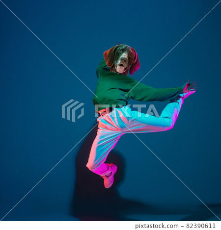 Art collage. Young woman, hip hop dancer headed of dog's head