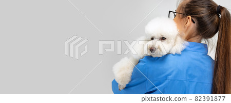 Friendship. Young beautiful woman, veterinary, groomer takes care of sweet white poodle dog. Medicine, pet care, healthy lifestyle concept. Friendship. Young beautiful woman, veterinary, groomer takes care of sweet white poodle dog. Medicine, pet care, healthy lifestyle concept. 82391877