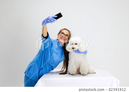 Portrait of young beautiful woman, female veterinary, vet doctor and sweet cute white poodle dog isolated over white background. 82391912