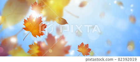 autumn leaves fall autumn leaves fall 82392019