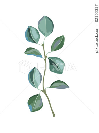 Illustration of poplar branch and green leaves. Spring or summer stylized foliage. 82393337