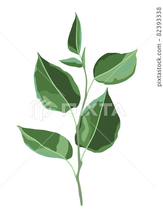 Illustration of branch and green leaves. Spring or summer stylized foliage. Illustration of branch and green leaves. Spring or summer stylized foliage. 82393338