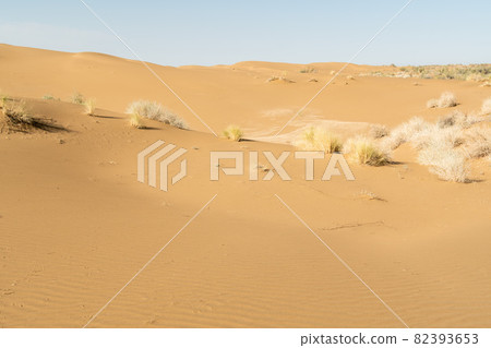 Panoramic view of the sand dunes Panoramic view of the sand dunes 82393653