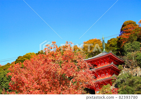 Gifu City, Gifu Park Three-Story Pagoda Scenery 82393780