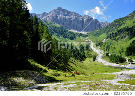 Pastures below Cima Palombino Pastures below Cima Palombino 82395790