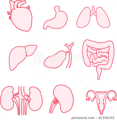 Built-in illustration_set pink Built-in illustration_set pink 82396248