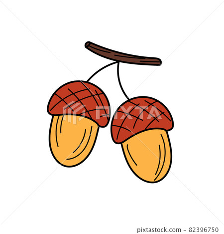 Acorn vector icon. Hand drawn print. Sticker design 82396750