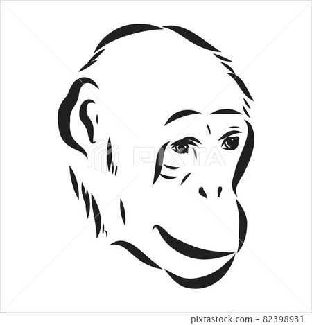 Hand drawn sketch style illustration of monkey face. Chinese zodiac sign. Young Chimpanzee. Vector illustration. Hand drawn sketch style illustration of monkey face. Chinese zodiac sign. Young Chimpanzee. Vector illustration. 82398931