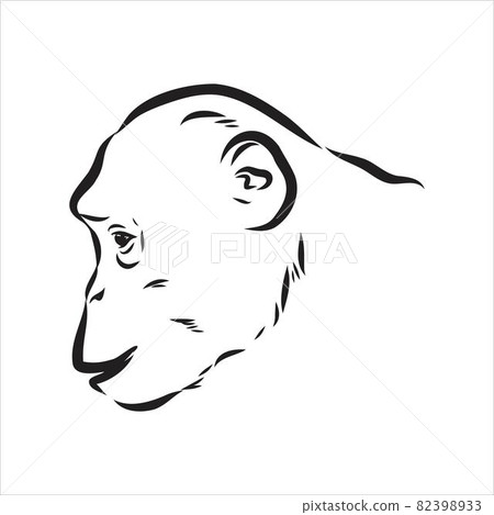 Hand drawn sketch style illustration of monkey face. Chinese zodiac sign. Young Chimpanzee. Vector illustration. Hand drawn sketch style illustration of monkey face. Chinese zodiac sign. Young Chimpanzee. Vector illustration. 82398933