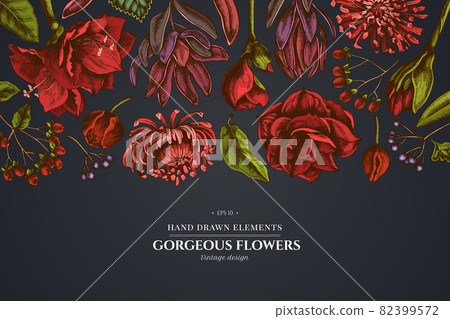 Floral design on dark background with viburnum, hypericum, tulip, aster, leucadendron, amaryllis Floral design on dark background with viburnum, hypericum, tulip, aster, leucadendron, amaryllis 82399572