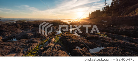 Botanical Beach on the West Coast of Pacific Ocean. Botanical Beach on the West Coast of Pacific Ocean. 82400473