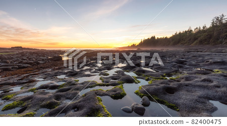 Botanical Beach on the West Coast of Pacific Ocean. Botanical Beach on the West Coast of Pacific Ocean. 82400475