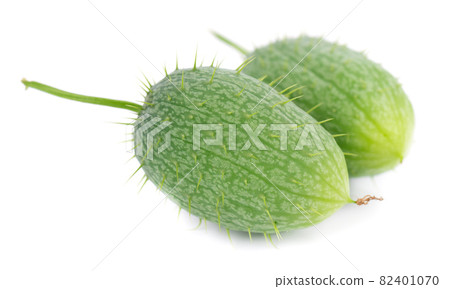 Ecballium isolated on white background. Ecballium elaterium or wild cucumber pods. Ecballium isolated on white background. Ecballium elaterium or wild cucumber pods. 82401070