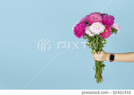 A large bouquet of beautiful pink and white asters in hand isolated on blue background. Autumn flowers bouquet. Banner with copy space. Asters symbolize love, wisdom and faith 82402438