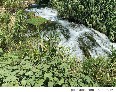 Close up of small waterfall and green plants in nature 82402946